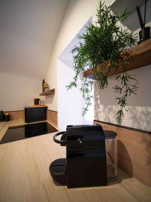 Le Cocon - Petit Studio 2 Couchages - Centre Historique Aubagne Eksteriør billede